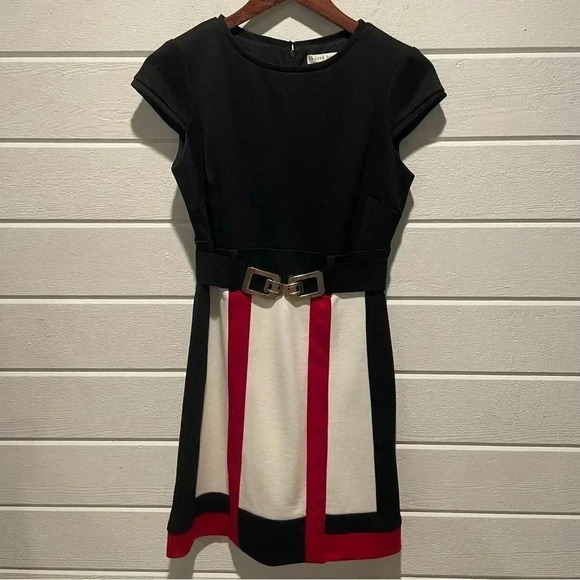 Sandra Darren Color-block A-Line Knee Length Dress Size 4P - Picture 6 of 10